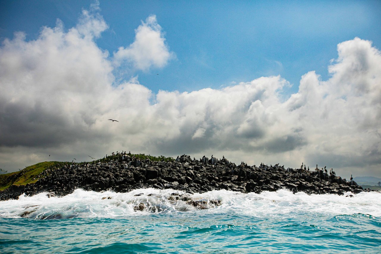 Isla de las Aves